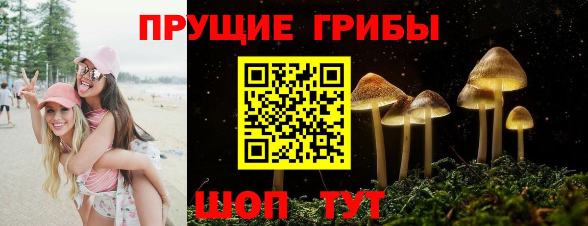 дарнет шоп  Вход с VPN  Урай  Галлюциногенные грибы Cubensis 