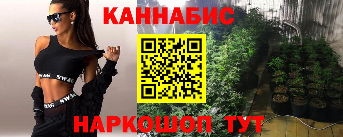 Бошки Шишки сатива Урай